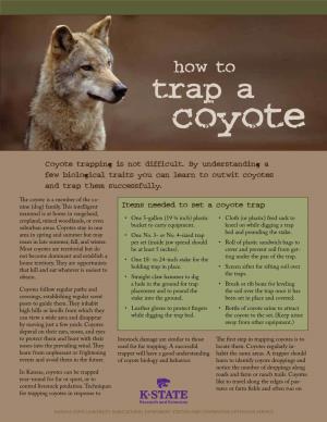 C660 How to Trap a Coyote