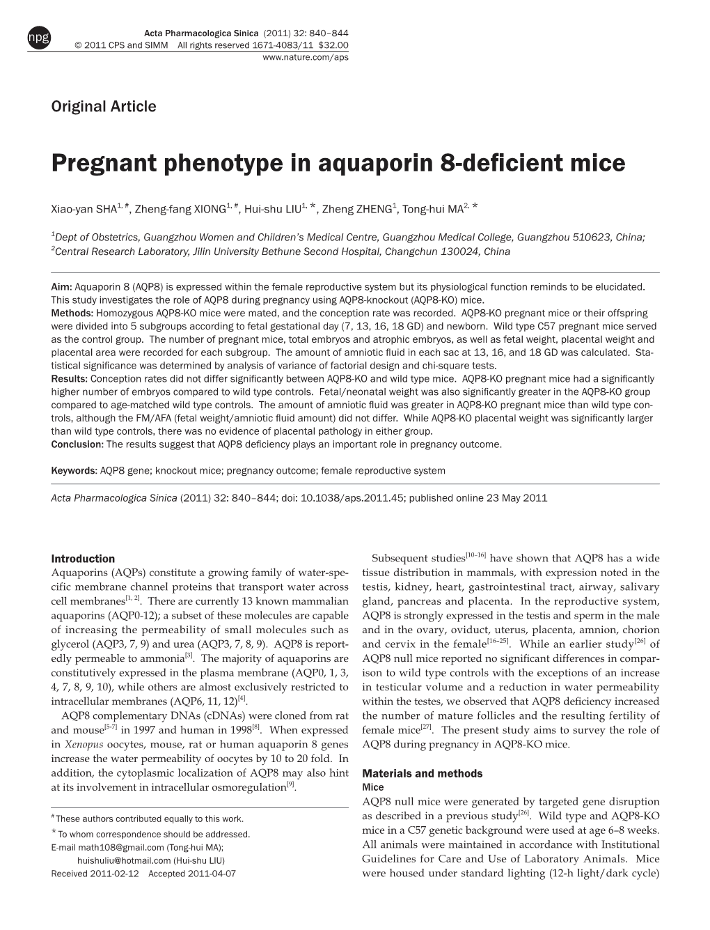 Pregnant Phenotype in Aquaporin 8-Deficient Mice