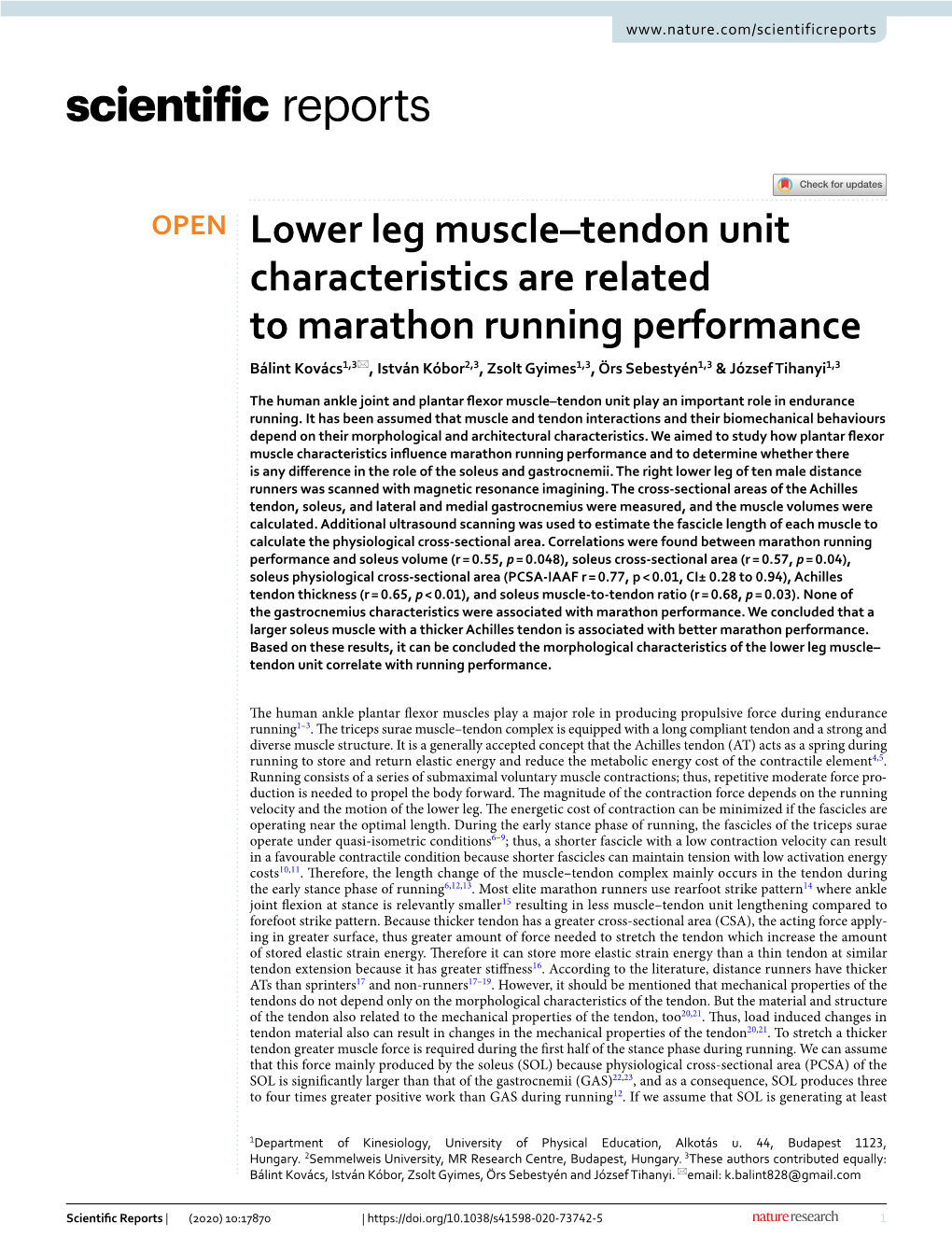 Lower Leg Muscle–Tendon Unit Characteristics Are Related