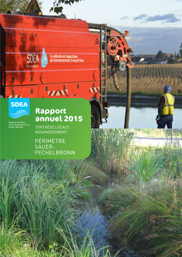Rapport Annuel 2015 Sur Le Prix Et La Qualité Du Service Public D’Assainissement ‐ (*) Renvoi Vers Le Glossaire Sdea.Fr > 1