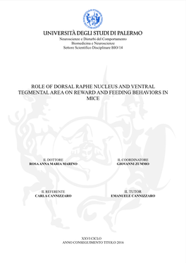 Role of Dorsal Raphe Nucleus and Ventral Tegmental Area on Reward and Feeding Behaviors in Mice