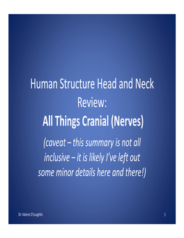 Human Structure Head and Neck Review: All Things Cranial (Nerves)