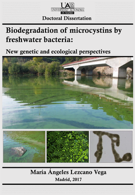 Biodegradation of Microcystins by Freshwater Bacteria: New Genetic and Ecological Perspectives