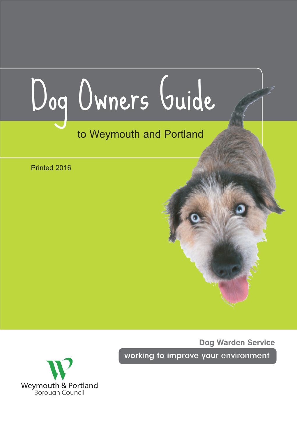 Dog Owners Guide Return More Dogs to Their Owners Quickly to Weymouth and Portland