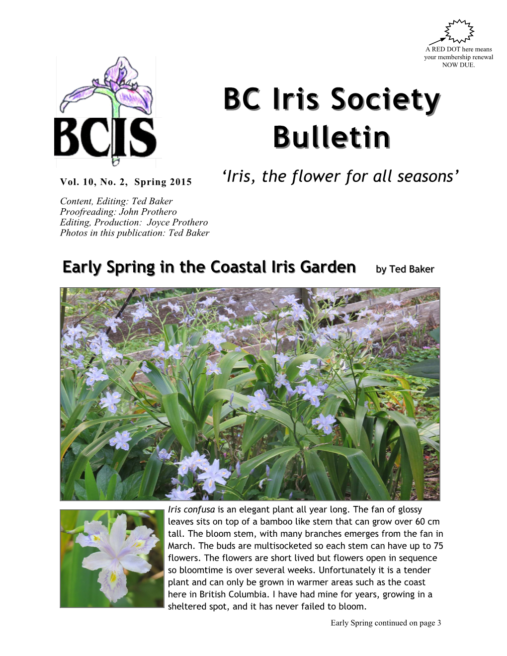 Spring 2015 ‘Iris, the Flower for All Seasons’