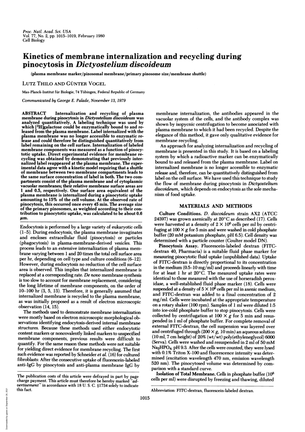 Kinetics of Membrane Internalization and Recycling During