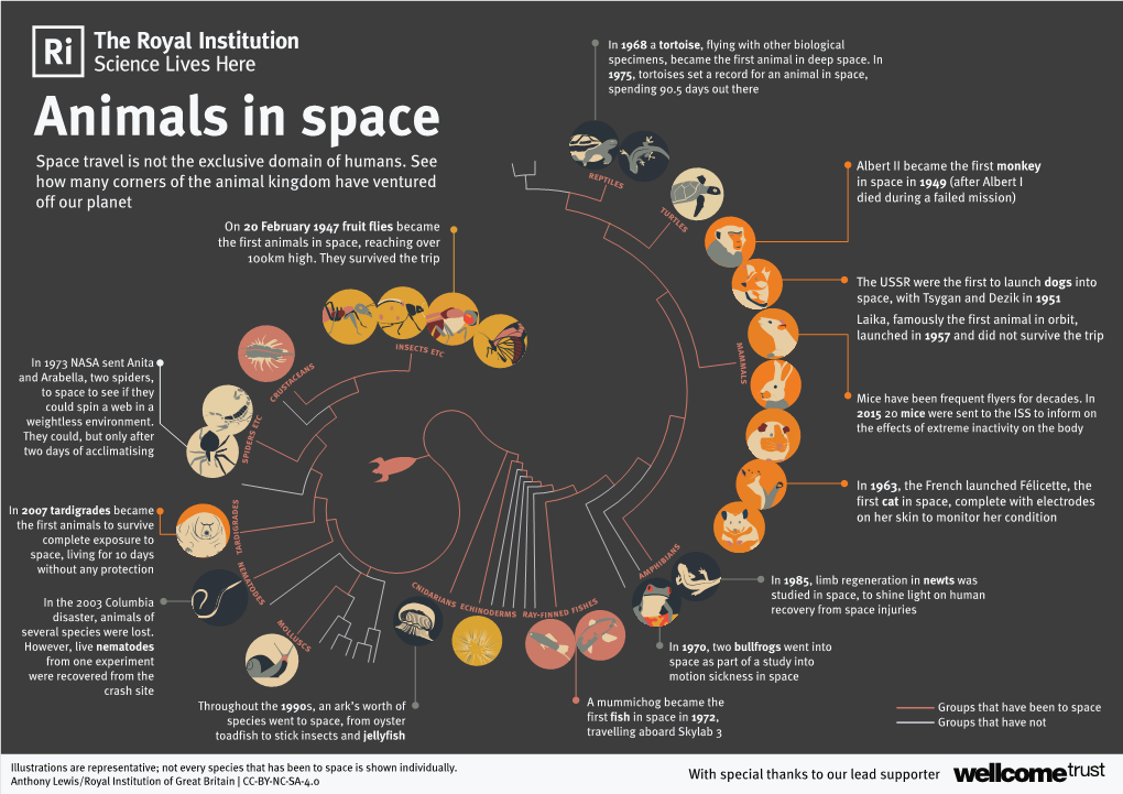 Animals in Space Space Travel Is Not the Exclusive Domain of Humans