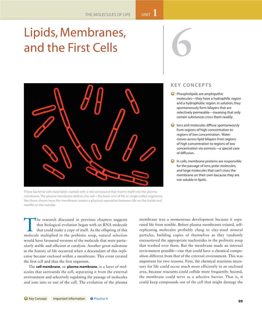 Lipids, Membranes, and the First Cells 6