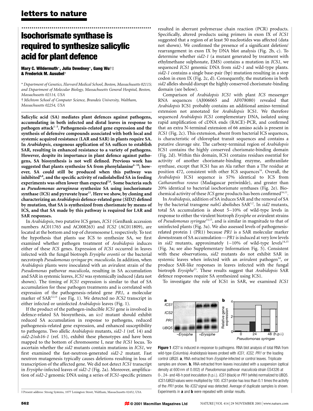 Isochorismate Synthase Is Required to Synthesize Salicylic Acid for Plant