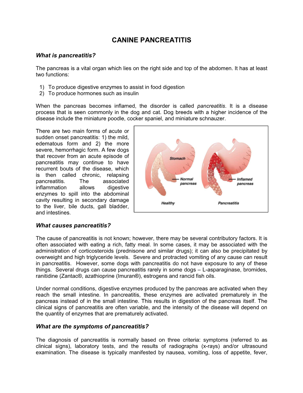 Canine Pancreatitis