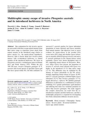 Multitrophic Enemy Escape of Invasive Phragmites Australis and Its Introduced Herbivores in North America