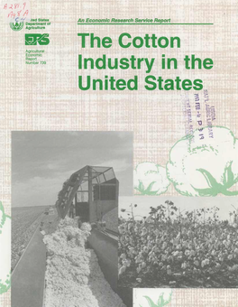 The Cotton Industry in the United States (AER-739)