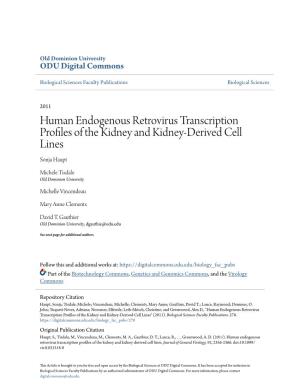 Human Endogenous Retrovirus Transcription Profiles of the Kidney and Kidney-Derived Cell Lines Sonja Haupt