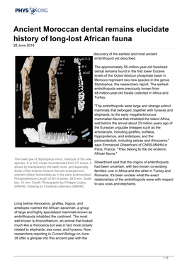 Ancient Moroccan Dental Remains Elucidate History of Long-Lost African Fauna 28 June 2018