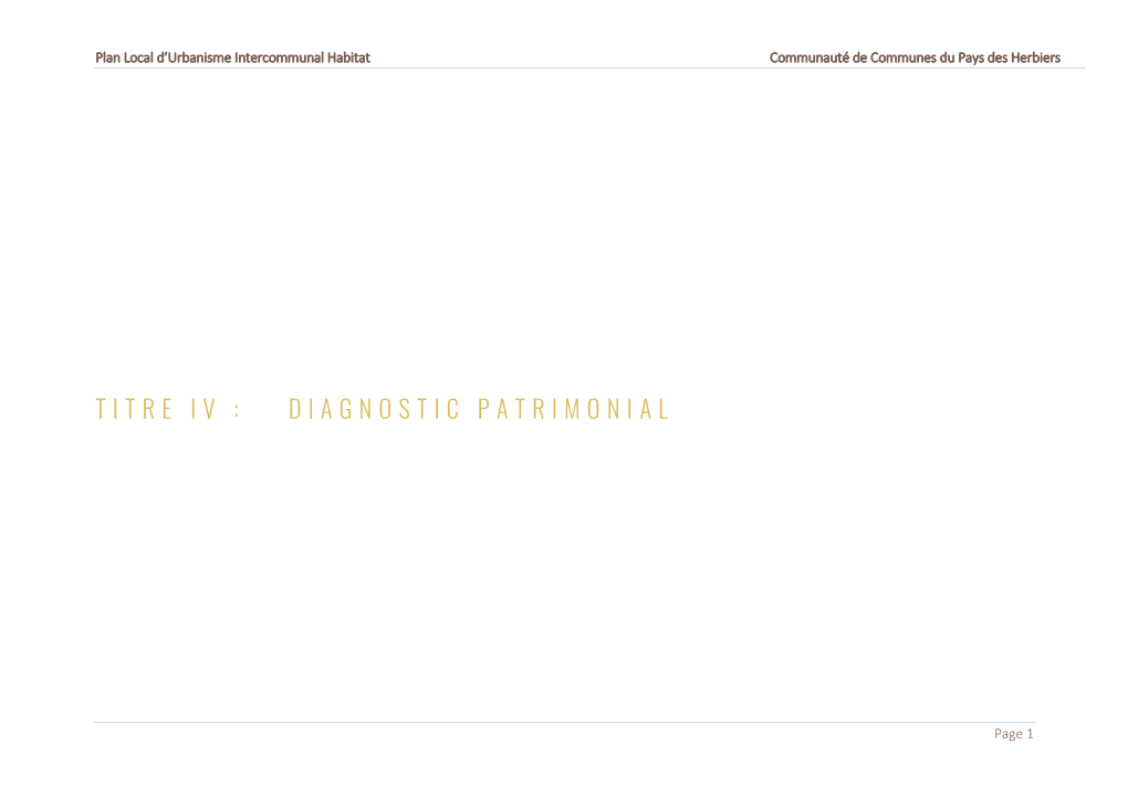 Diagnostic Patrimonial