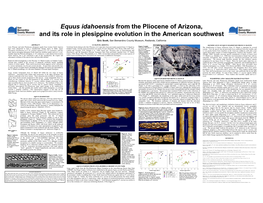 Equus Idahoensis from the Pliocene of Arizona, and Its Role in Plesippine