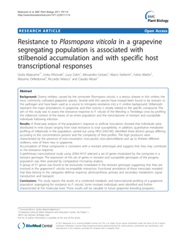 Resistance to Plasmopara Viticola in a Grapevine Segregating Population