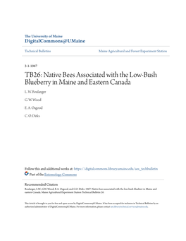 Native Bees Associated with the Low-Bush Blueberry in Maine and Eastern Canada L