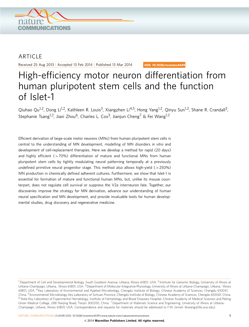 High-Efficiency Motor Neuron Differentiation from Human