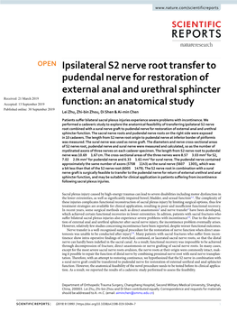 Ipsilateral S2 Nerve Root Transfer to Pudendal Nerve for Restoration Of