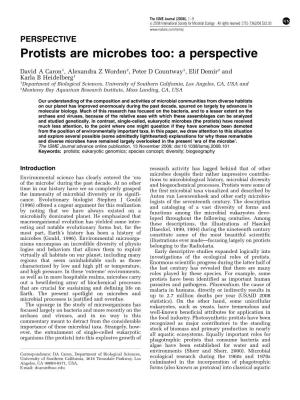 Protists Are Microbes Too: a Perspective