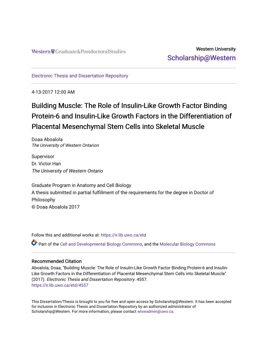 The Role of Insulin-Like Growth Factor Binding Protein-6 and Insulin-Like