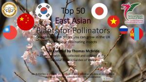 Top 50 East Asian Plants for Pollinators