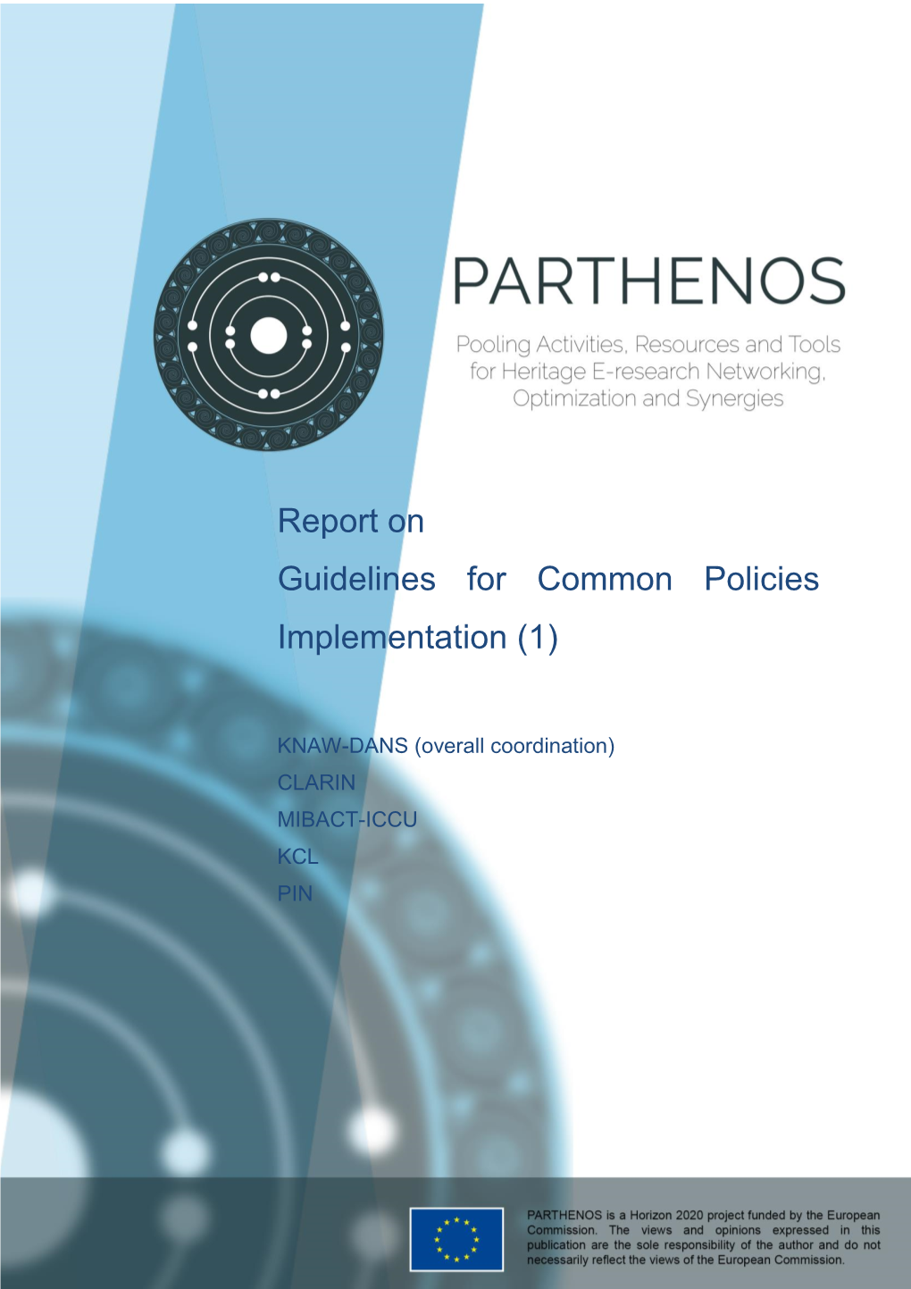 Report on Guidelines for Common Policies Implementation (1)