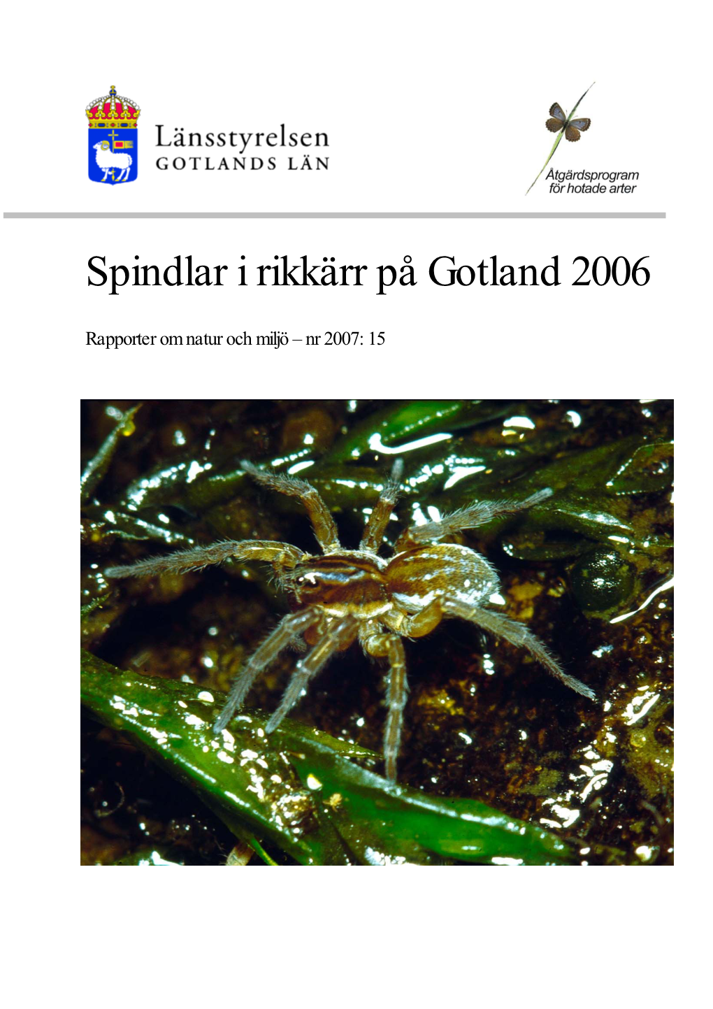 Spindlar I Rikkärr På Gotland 2006