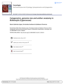Cytogenetics, Genome Size and Anther Anatomy in Bulbostylis (Cyperaceae)