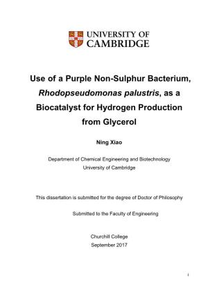 Use of a Purple Non-Sulphur Bacterium, Rhodopseudomonas Palustris, As a Biocatalyst for Hydrogen Production from Glycerol