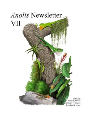 Anolis Newsletter