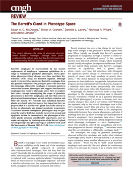 The Barrett's Gland in Phenotype Space