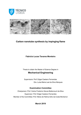 Carbon Nanotube Synthesis by Impinging Flame