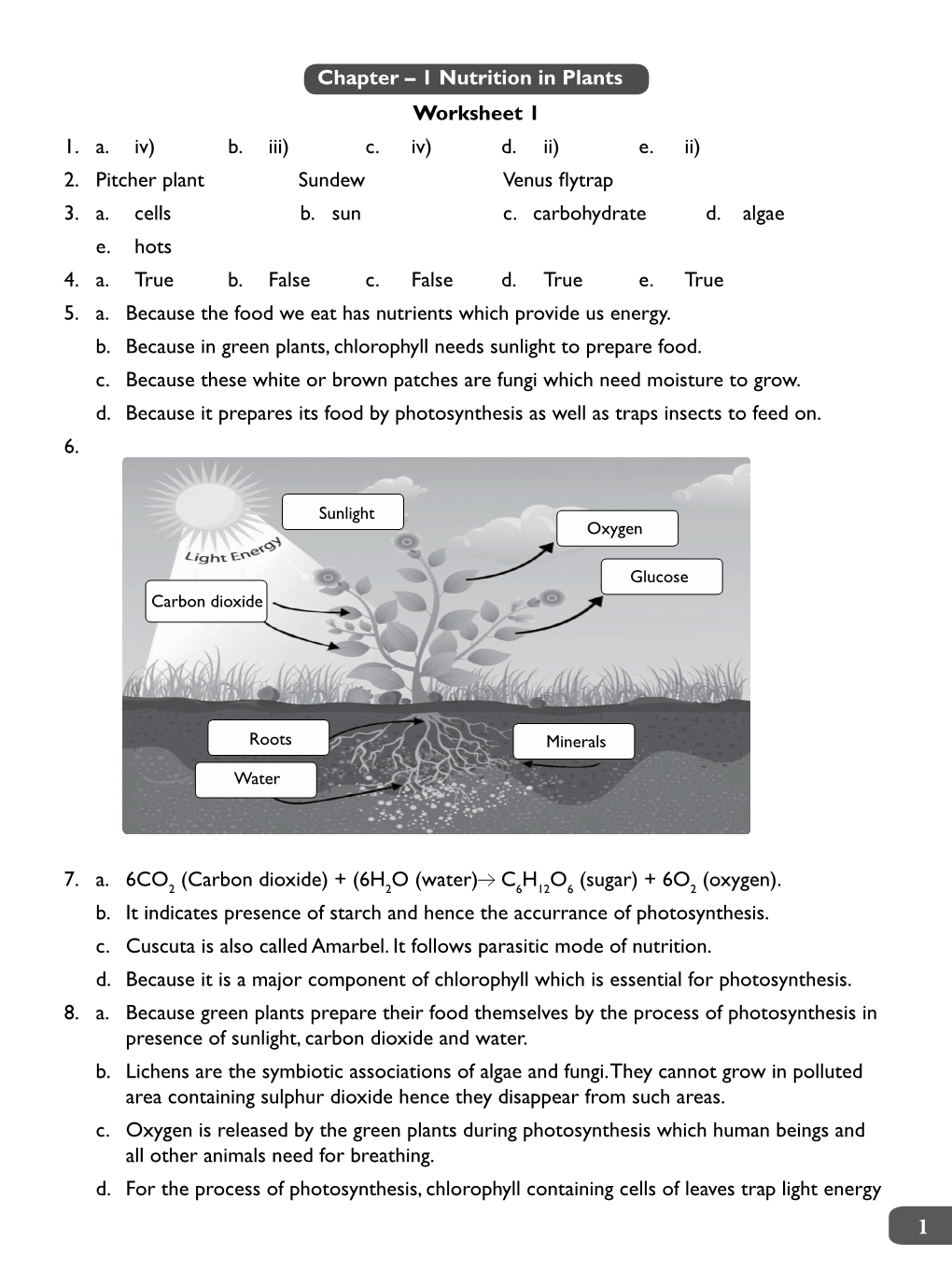 Chapter – 1 Nutrition in Plants Worksheet 1 1. A. Iv) B. Iii) C. Iv) D ...