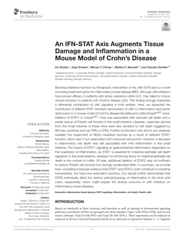 An IFN-STAT Axis Augments Tissue Damage and Inflammation in A