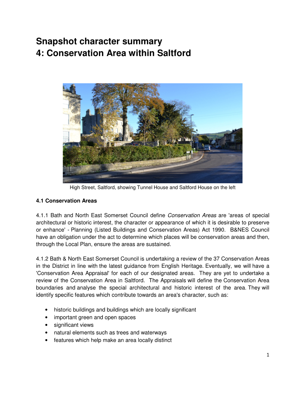 Snapshot Character Summary 4: Conservation Area Within Saltford