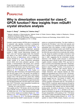 Why Is Dimerization Essential for Class-C GPCR Function? New Insights from Mglur1 Crystal Structure Analysis