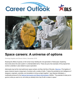 Space Careers: a Universe of Options