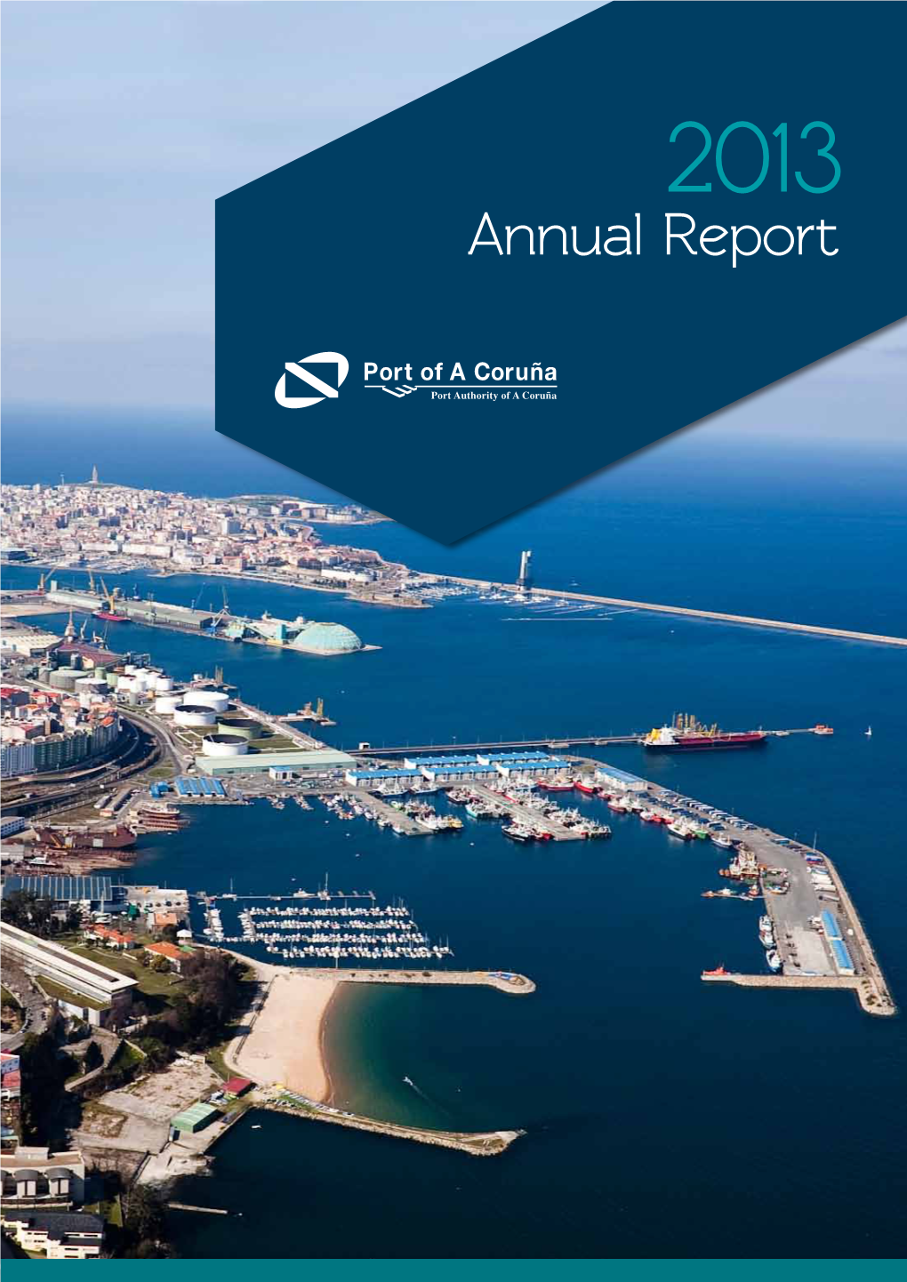 Annual Report Summary 2013
