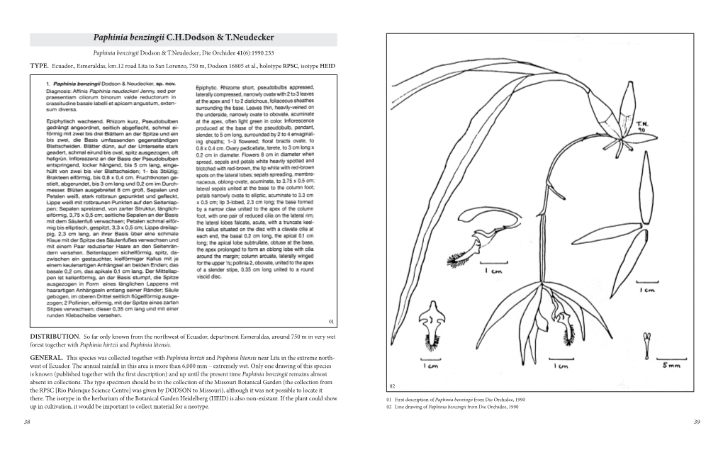 06-Paphinia Benzingii.Indd