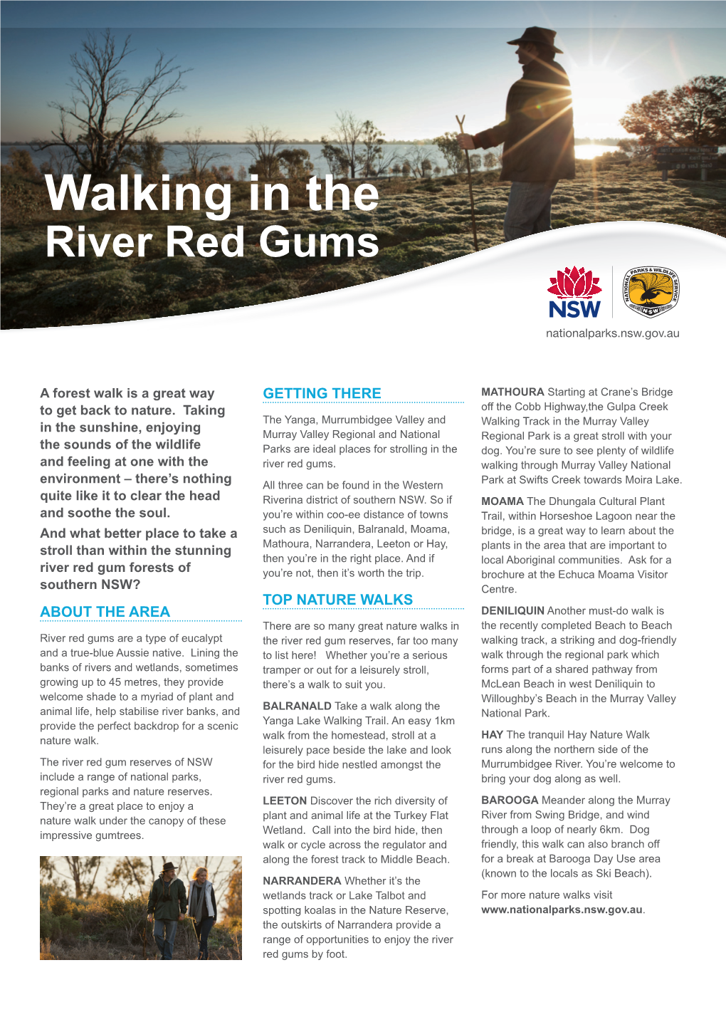 Walking in the River Red Gums