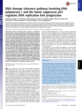 DNA Damage Tolerance Pathway Involving DNA Polymerase Ι and The