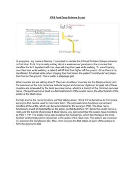 Foot Drop Schema Script