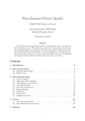 Wess-Zumino-Witten Models