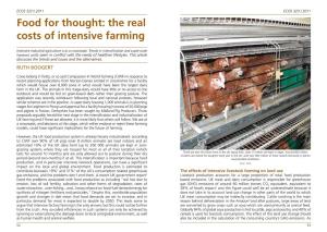 Food for Thought: the Real Costs of Intensive Farming