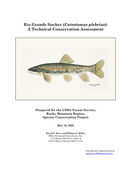 Rio Grande Sucker (Catostomus Plebeius): a Technical Conservation Assessment