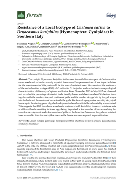 Resistance of a Local Ecotype of Castanea Sativa to Dryocosmus Kuriphilus (Hymenoptera: Cynipidae) in Southern Italy