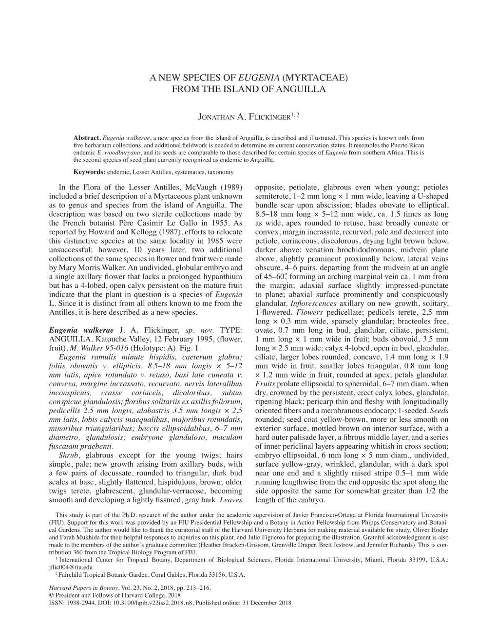 A New Species of Eugenia (Myrtaceae) from the Island of Anguilla