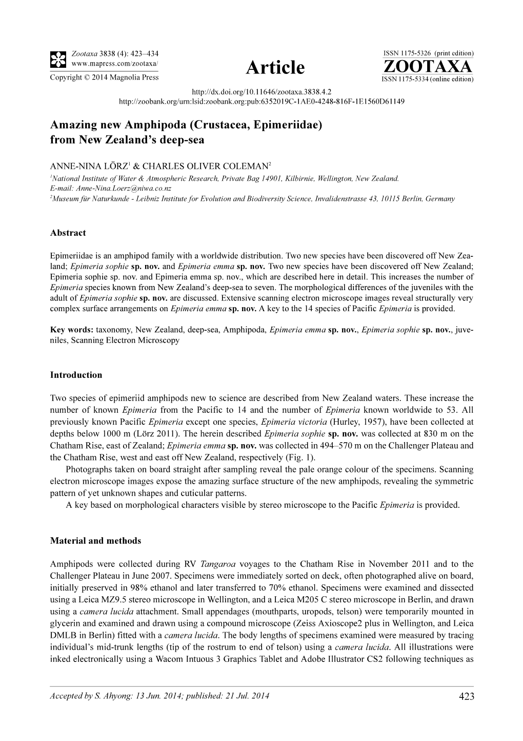 Amazing New Amphipoda (Crustacea, Epimeriidae) from New Zealand's Deep-Sea